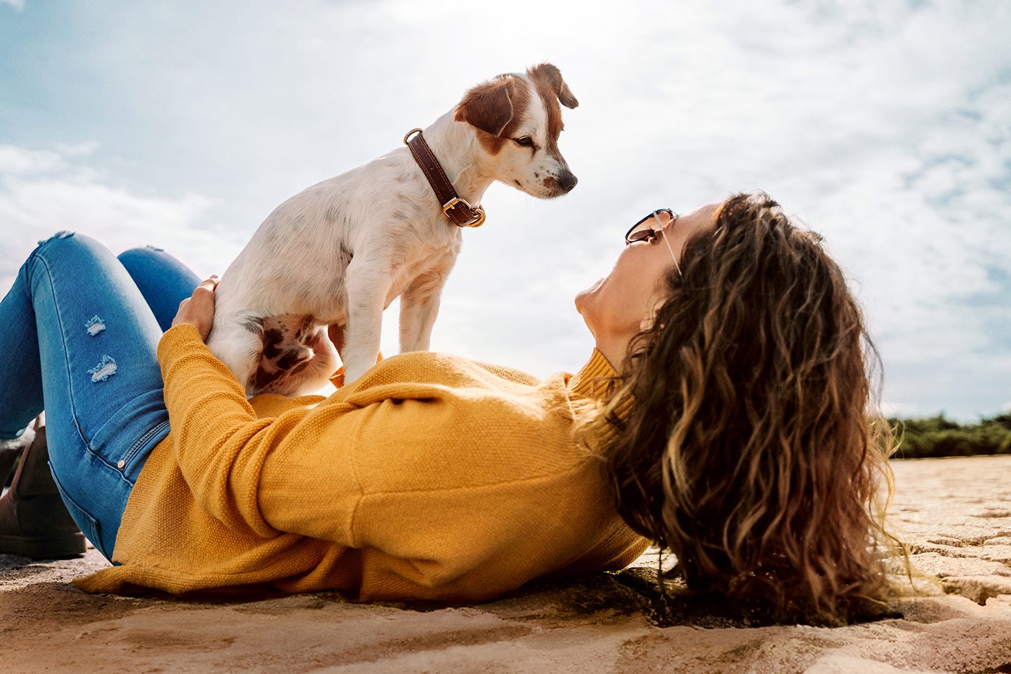 A beautiful little dog sitting on its owner looking at her face. The woman is lying down in the park in a sunny day in Madrid. Family dog outdoor lifestyle; Shutterstock ID 1829212382; purchase_order: -; job: -; client: -; other: -