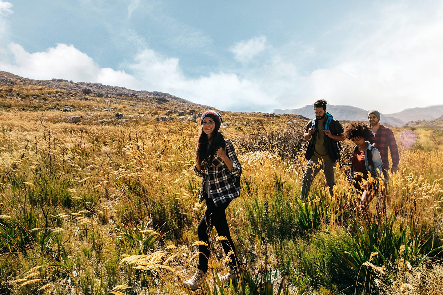 Group of friends are hiking in mountain on a sunny day. Four young people walking through countryside.