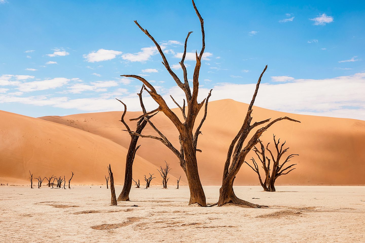 beautiful landscape in the Namib desert at Deadvlei