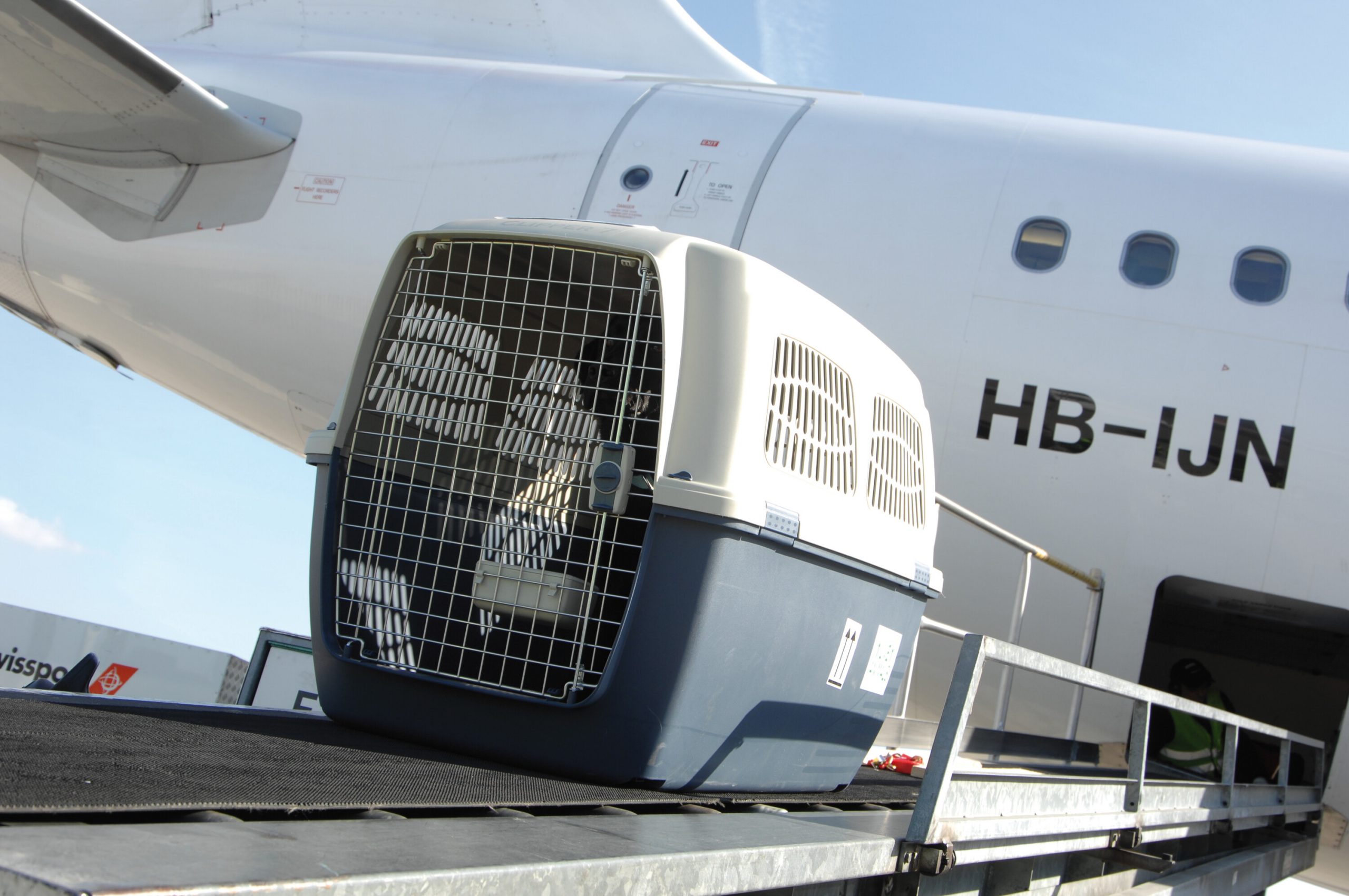 Assistance et services spéciaux | Lufthansa Group